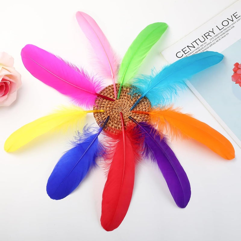 Ballinger Colorful Goose Feathers for Crafts - 120Pcs 6-8inch Craft Colored Feathers for DIY Crafts,Angel Wings,Dream Catcher and Wedding Party Decor - Image 4
